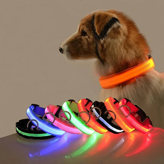 Flashing Dog Collar